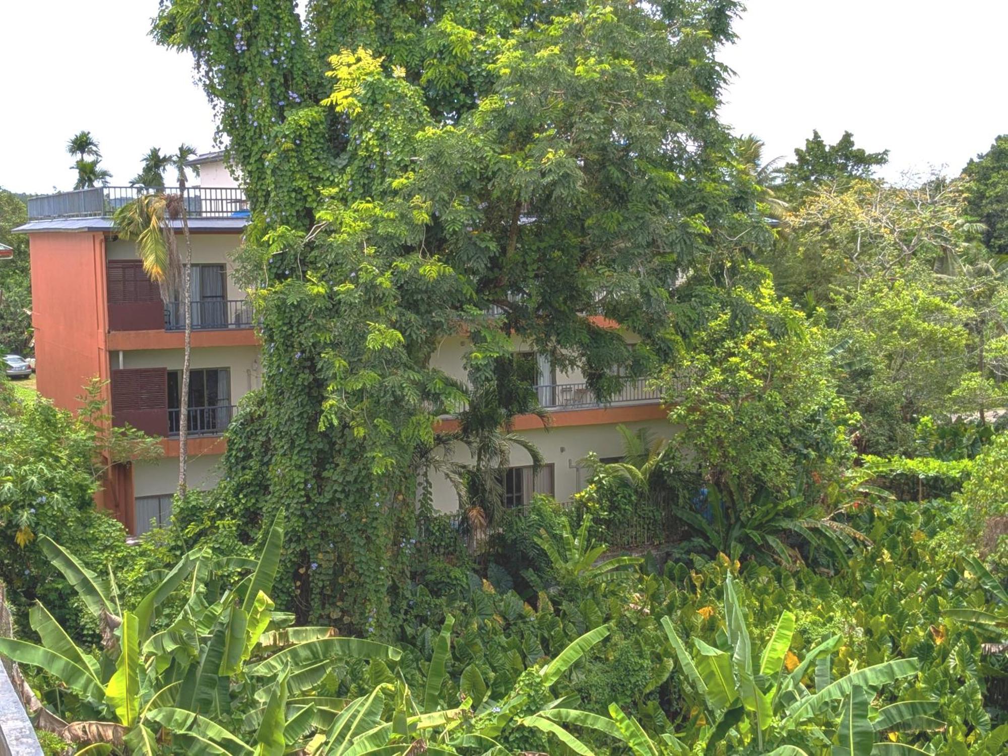 Garden Palace Downtown Koror Exterior foto